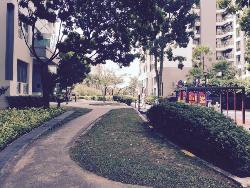 Signature Park (D21), Condominium #38332352